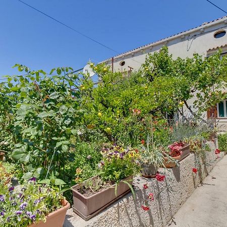 Apartment Carmen Veli Lošinj Kültér fotó